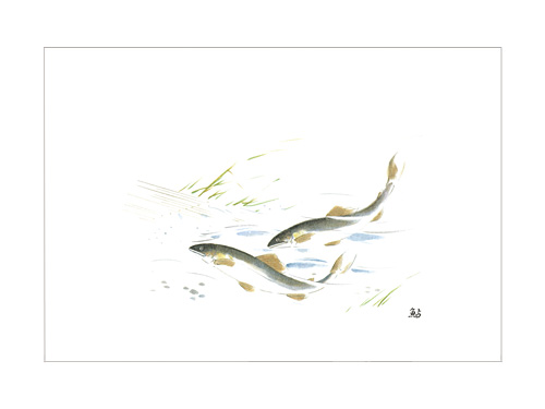 テーブルマット オリジナル 鮎画像