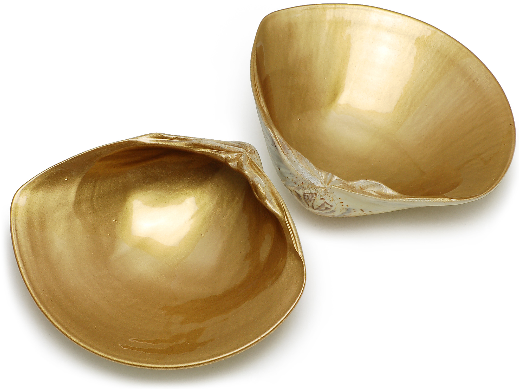 貝殻 はまぐり金塗 大 2枚合せ 貝殻はまぐり ネットストア 京の老舗御用達の折箱 京朱雀道具町 勝藤屋