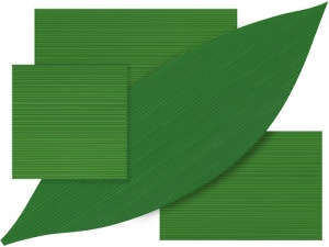 大きめサイズの「バラン」を追加 | トピックス | 京の老舗御用達の折箱