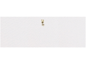 掛紙大 幅広タイプ だん紙白金「寿」画像