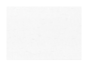 OA和紙 細雪 B4 白画像