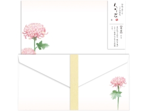 レターセット 菊画像