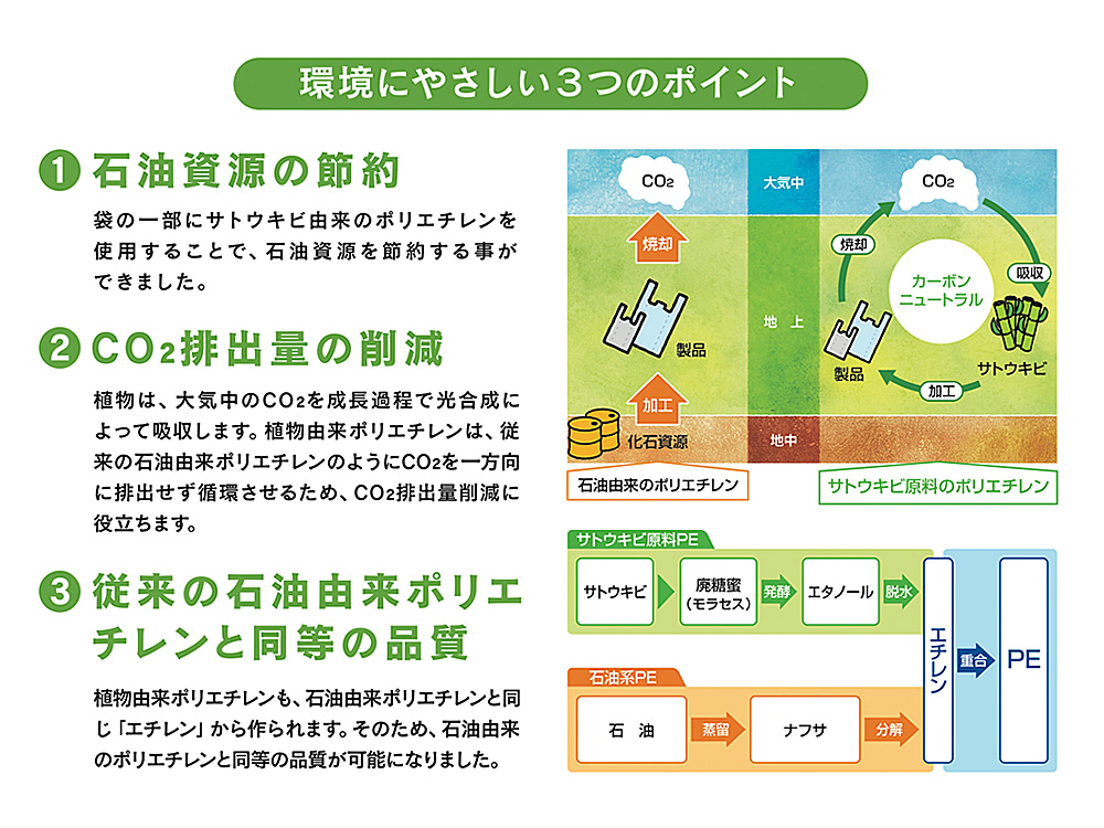 大幅値下げランキング 弁当袋 イージーバックランチ Ｓ