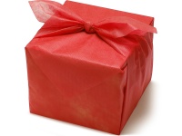 不毛の大地4枚 いきいきパズル 紅葉から覗く壮大な富士（山梨）【通販限定