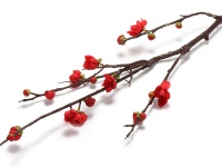 tiny-