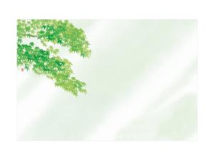 テーブルマット 花雅 尺三 青もみじ画像