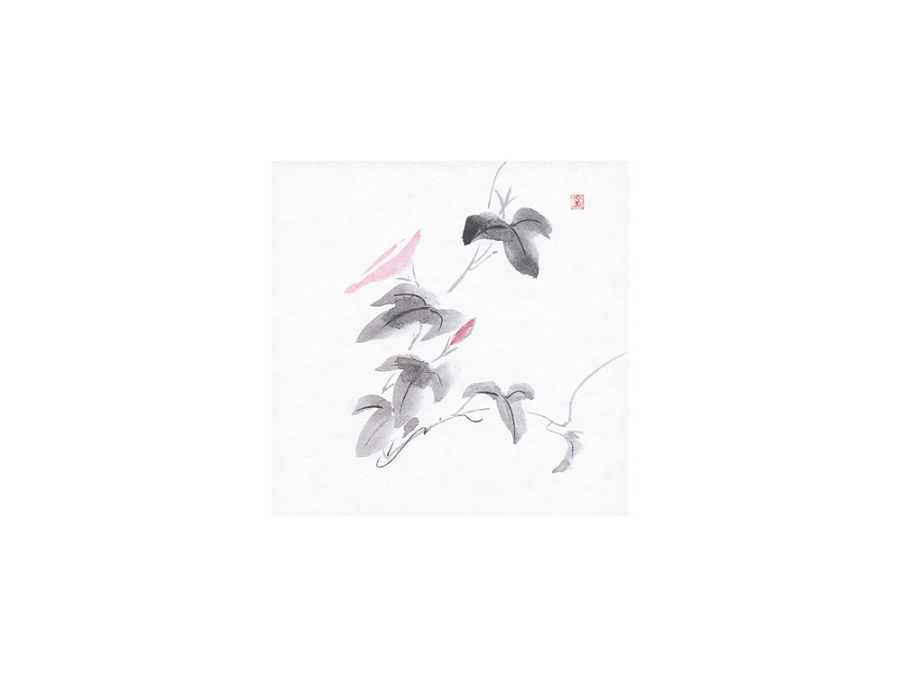 柄入敷紙 5寸 あさがお画像