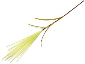 造花 ススキピック ベージュ画像