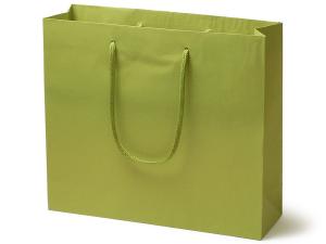 紙製手提袋 カラーCB 3才 ヒワ【包】画像