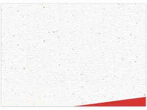 テーブルマット和紙 祝 裾赤画像