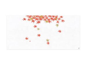 掛紙中 彩時季 紅葉風情画像