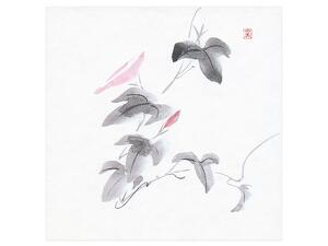 柄入敷紙 5寸 あさがお画像