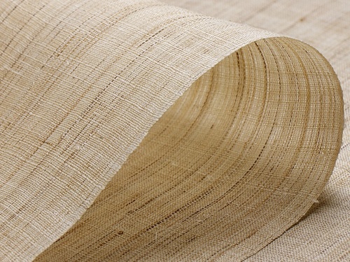 生平麻（きびらあさ）