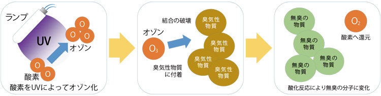 オゾンによる消臭効果