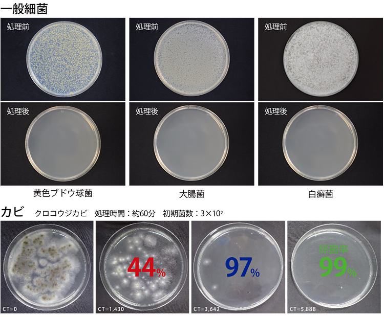 衛生微生物研究センターの 除菌試験試験検査報告書より抜粋 処理条件:4000CT