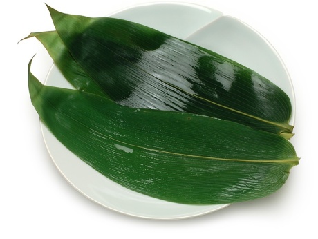 00-17201-107 国産笹葉 枝なし M