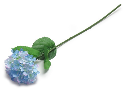 00-18502-545 万葉アジサイS ブルー（約60cm）