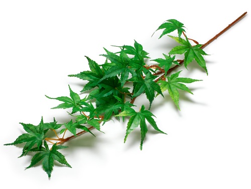 00-18502-143 造花 もみじスプレイ ツートングリーン