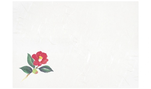 00-18208-505 マット彩宴 寒椿 No.285（380×260mm）