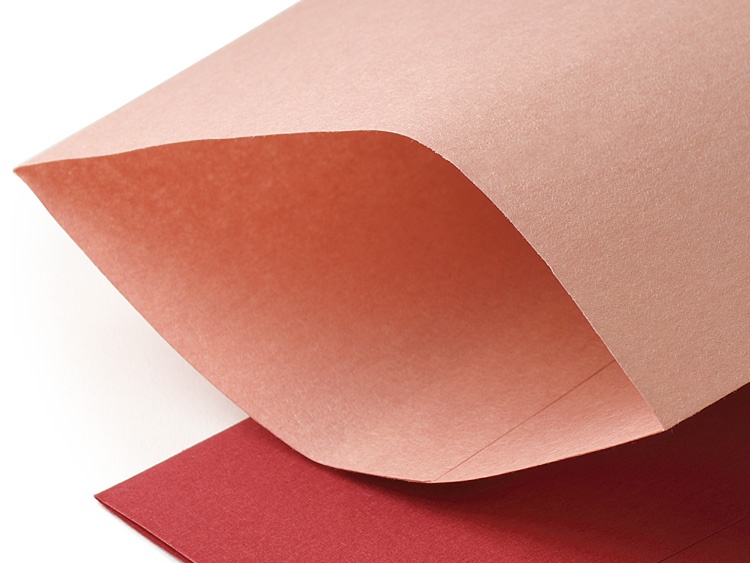 平袋の質感が判る拡大画像