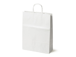 紙製手提袋 HZ-白無地【包】画像